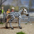 Playset Gemini&Genius Zebra Toys - Wild Life Zoo Animal Figurines, African Jungle Animal Action Figure Gift for Kids