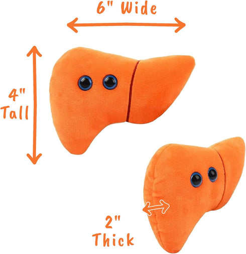 GIANTmicrobes Stuffed Liver Plush, Anatomical Liver Stuffed Animal, Hepatologist Gift