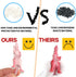 FINGOOO 39 Piece Mini Dinosaur Figures, Assorted Vinyl Plastic Dinosaur Toys for Easter Gifts, Dino Party Cake Toppers