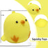 AiSiXin Chicken Stress Balls Squishy Toys for Kids Party Favors, Dough Ball, Squeeze Toys for Adults, Funny Cute Farm