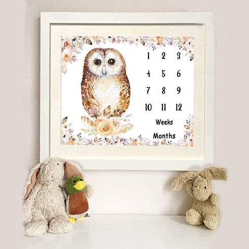Owl Baby Monthly Milestone Blanket - 48x40in Soft Flannel, Newborn Mom Gifts, Baby Shower Age Growth Tracker
