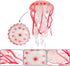 2 Pcs Realistic Ocean Jellyfish Model Toys, Simulated Sea Life Collection Playset