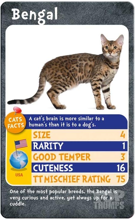 Cats and Kittens Top Trumps Card Game