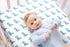 Jola's House 4 Pack Set Soft Baby Boy Crib Sheets for Standard Crib Mattress Dinosaur Star Cloud Soft Neutral Unisex