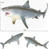 Gemini&Genius Great White Shark Toy, Realistic Action Figure for Kids Birthday Party and Bath Play