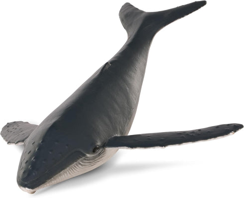 Set 15 3+ Terra by Battat Toy Sea Animals Realistic Whale, Dolphin, Penguin & More Detailed Ocean Creatures for Sensory