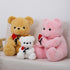12 Inch Teddy Bear Stuffed Animal with Rose, Soft Cuddly Plush Bear, Gifts for Kids, Baby Shower