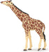 Papo Hand-Painted Wild Animal Kingdom Figurine - Head Raised Giraffe - 50236 - Collectible for Children 3+