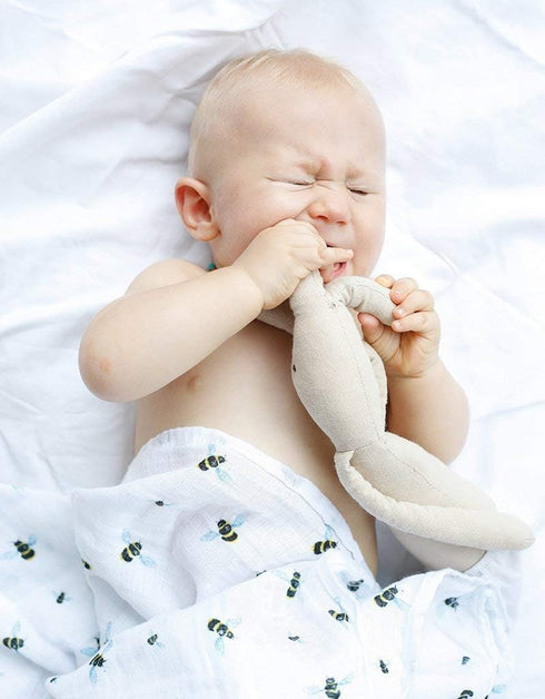 Set, 2 Pack Malabar Baby Swaddle Blanket Luxurious Cotton Muslin Blankets for Girls Boys, Baby Receiving Swaddles