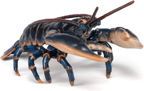 3+ 4.1 1.4 0.6 Papo - Realistic Lobster Figure Toy for Kids - Ages - Marine Life Collection - Educational Play Marine