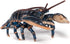 3+ 4.1 1.4 0.6 Papo - Realistic Lobster Figure Toy for Kids - Ages - Marine Life Collection - Educational Play Marine