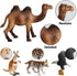 Migration 100 Piece Set of Animal Plastic Figures Playset, Includes Wild, Safari, Zoo, Jungle, Farm, Forest, Ocean