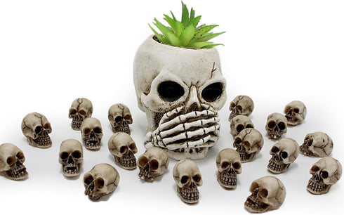 BinaryABC Accessories,20PCS(0.7"x0.39") Mini Skull Figurine Miniature Skeleton Head Table Decor,Halloween Micro