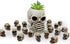 BinaryABC Accessories,20PCS(0.7"x0.39") Mini Skull Figurine Miniature Skeleton Head Table Decor,Halloween Micro