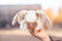 TAMMYFLYFLY 7 Inches Lifelike Moth Plush Toy,Cute Poodle Moth Stuffed Animal, Insect Model Toy, Soft Toy