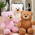 Gjlzfwbx 10inches Teddy Bear Plush Toy, Teddy Bear Stuffed Animal Birthday for Kids Girl Friends (Pink)