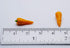 CoolPrice Miniature 20 1 CM Loose Carrots Size Dollhouse Miniatures Food Kitchen
