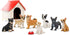 Toymany 12PCS Mini Dog Figurines Toy Set, Realistic Detailed Plastic Puppy Figures, Cake Toppers Gift