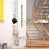 Kids Growth Chart, Height Measurement Ruler for Wall, Removable Wall Decor, White Grey Wood Frame, 79"x7.9"
