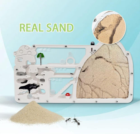 Ant Farm Castle - Ant Farms with Yellow Sand and Tool Kit, Educational Observation Kit for Kids, Adults, Science