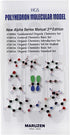 HGS Polyhedron Molecular Model, 1001Alpha General Chemistry Basic Set for Educational Use