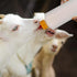 Housoutil Lamb Feeding Bottle Set, Milk Feeder for Goat, Sheep, Livestock, Nursing Bottle