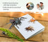 Volnau Insect Toys Figurines 13PCS Bug Figure Pack for Kids Educational Decorations, Cicada Toy, Plastic Model