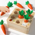 Montessori Toys for Babies, Educational Carrot Vegetable Harvest Toy, Splicing Building Blocks for Toddlers Learning