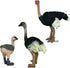Gemini&Genius Ostrich Animal Action Figure Toys, Jungle Animal Playset Gift, Educational Cake Toppers for Kids Ages 3+