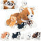 5 Pieces Corgi Dog Stuffed Animal with Babies Puppies Inside 16" Stuffed