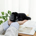 Wgxzyq 7.8inch Chimpanzee Stuffed Animal, Chimpanzee Plush Toy, Birthday Xmas Gift for Kids (Chimpanzee)