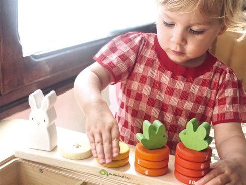 Counting Counting, 18 Tender Leaf Toys - Carrots - Wooden Ring Stacker - Educational Toy for Early Learning, Color