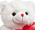 HollyHOME I Love You Teddy Bear - Soft Plush Toy with Heart, 12 inches White, Christmas Valentine's Day Gift