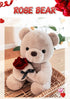 9.8'' Teddy Bear with Rose, Soft Plush Doll for Valentines Day Gifts for Her, Mom, Kids (Gray)