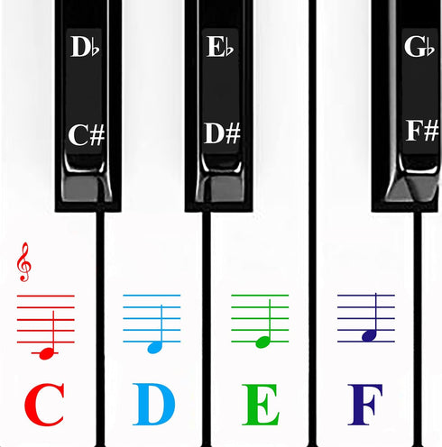 QMG Colorful Piano Stickers for Keys, Removable for 49/61/76/88 Key Keyboard, No Residue, Kids Learning