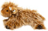 Douglas Wallace Scottish Highland Cow Plush Stuffed Animal
