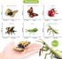 Volnau 12PCS Bug Toys Figurines Insect Animal Figures for Kids Toddlers Educational Decorations Bee Beetle Mantis