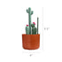 Set, 4 Set Boon Cacti Bottle Cleaning Brush Terracotta , Piece