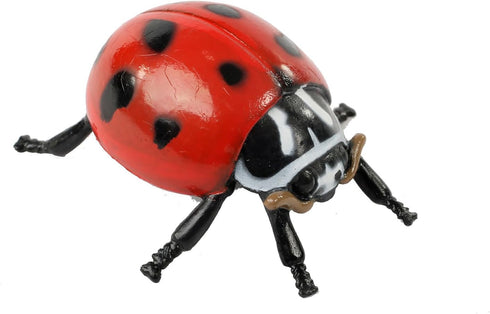 Insect Lore Ladybug Life Cycle, 4 PC Insect Figure Shows Life of Lady Bug