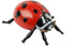 Insect Lore Ladybug Life Cycle, 4 PC Insect Figure Shows Life of Lady Bug