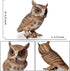 Simulated Owl Model Figure Toy, Realistic Owl Animal Figurines Collection for Home Decor