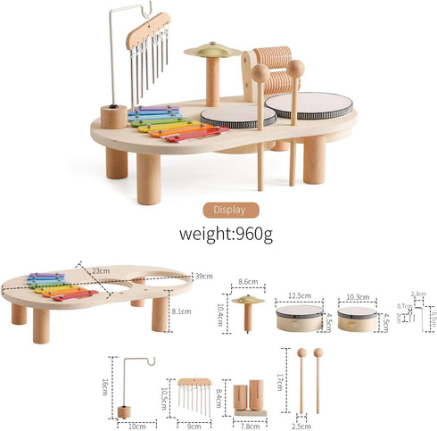 Promise Baby Musical Instruments, Wooden Percussion Instruments for Kids, Montessori Educational Toddler Toys