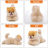 16-Inch Adorable Pomeranian Plush Toy - Realistic Stuffed Dog for Kids