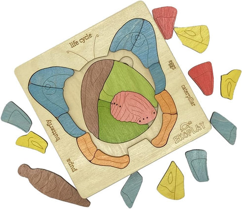 LIFE CYCLE of A BUTTERFLY | 31 Piece Wooden Jigsaw Puzzles for Kids | Educational Gift for Boys & Girls 3+