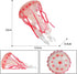 Incredible Creatures Realistic Jellyfish Model Figure Toys, Simulated Sea Life Animals Figurine Collection for