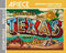 Greetings from Texas Jigsaw Puzzle, 1000 Pieces Art by Rory Skagen