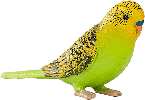 MOJO Green Budgerigar (Australian Parakeet) Realistic Wildlife Toy Replica, Hand Painted