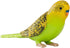 MOJO Green Budgerigar (Australian Parakeet) Realistic Wildlife Toy Replica, Hand Painted