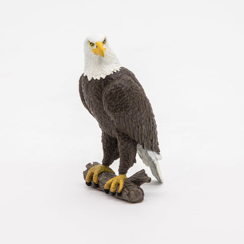 3+ PAPO - Sea Eagle - Realistic Figurine - for Ages - Wild Animal Kingdom Collection - Hand Painted - Highly Detailed