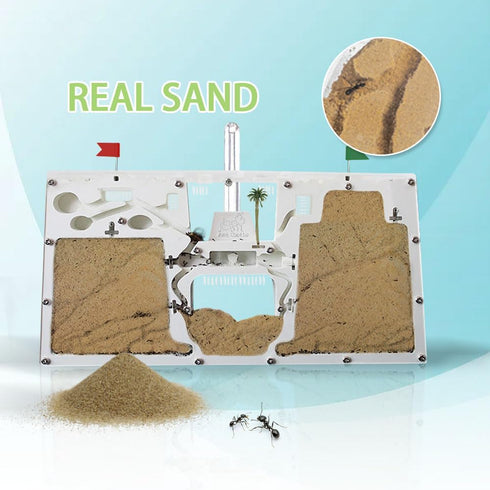 Ant Farm Castle | Ant Farms with Yellow Sand and Tool Kit | Educational Observation Kit for Kids and Adults